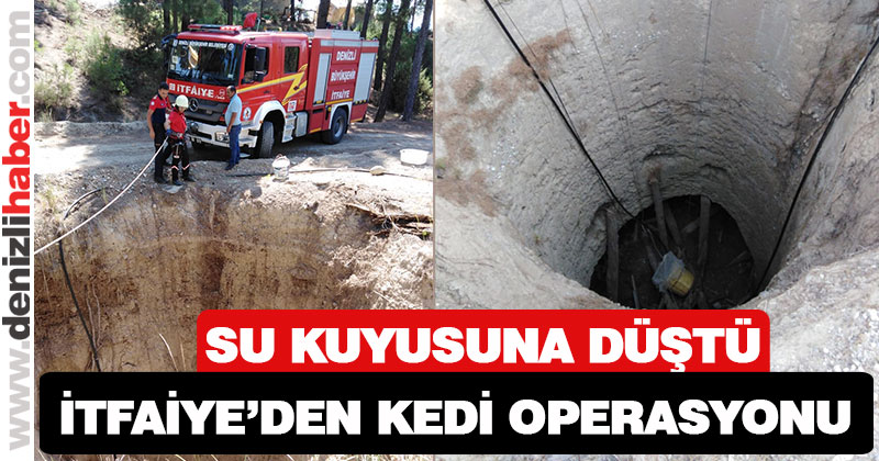 15 metrelik kuyuya düşen kediyi itfaiye kurtardı
