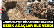 Ağaçları kesip define arayan bir kişi yakalandı