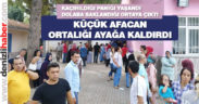 Kaçak afacan ortalığı ayağa kaldırdı