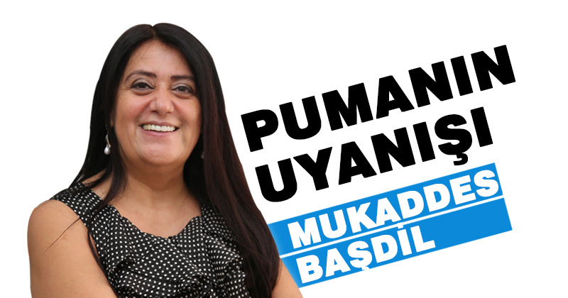 PUMANIN UYANIŞI