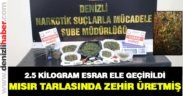 Eskihisar’da uyuşturucu operasyonu. 2.5 kilogram esrar ele geçirildi