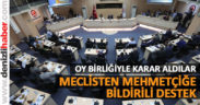 MECLİSTEN MEHMETÇİĞE BİLDİRİLİ DESTEK