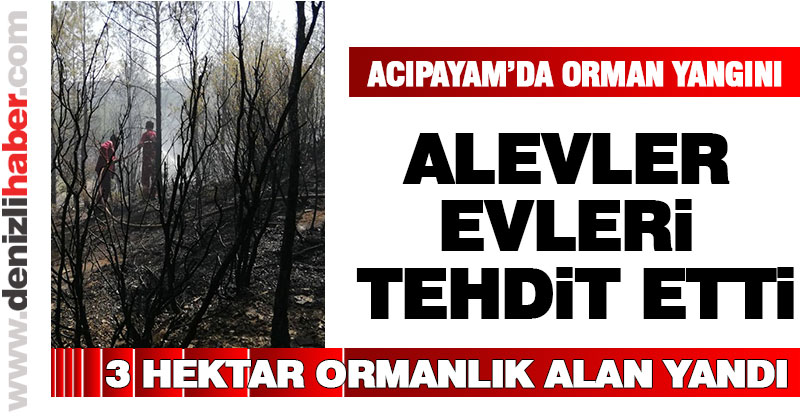 Acıpayam’da orman yangını