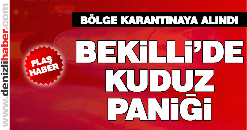Bekilli’de kuduz paniği