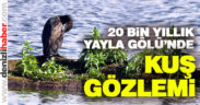 Buldan Yayla Gölü kuş gözlemcilerini ağırladı