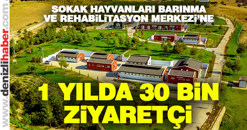 Sokak Hayvanları Barınma ve Rehabilitasyon Merkezi 1 yaşında