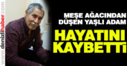 Meşe ağacından düştü, hayatını kaybetti
