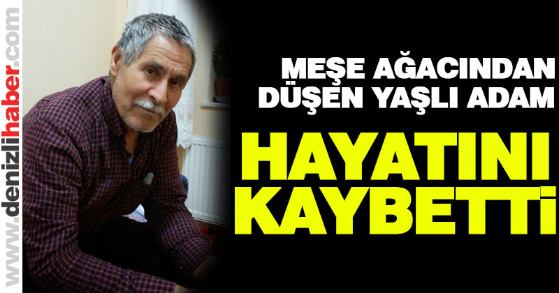 Meşe ağacından düştü, hayatını kaybetti