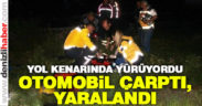 Yol kenarında yürüyen gence otomobil çarptı