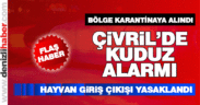 Çivril’de kuduz paniği