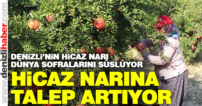 Denizli’nin Hicaz Narı dünya sofralarını süslüyor