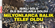 Göldeki balık ölümlerinin meyve suyu fabrikasından kaynaklandığı iddia ediliyor
