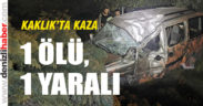 Denizli’de ticari araç şarampole devrildi: 1 ölü, 1 yaralı