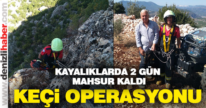 Kale’de kayalıklarda mahsur kalan Keçiyi itfaiyeciler kurtardı