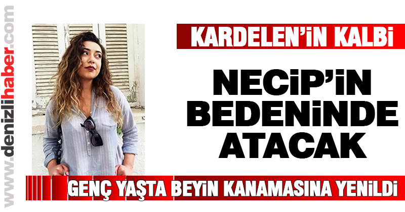 Kardelen’in kalbi Necip’in bedeninde atacak