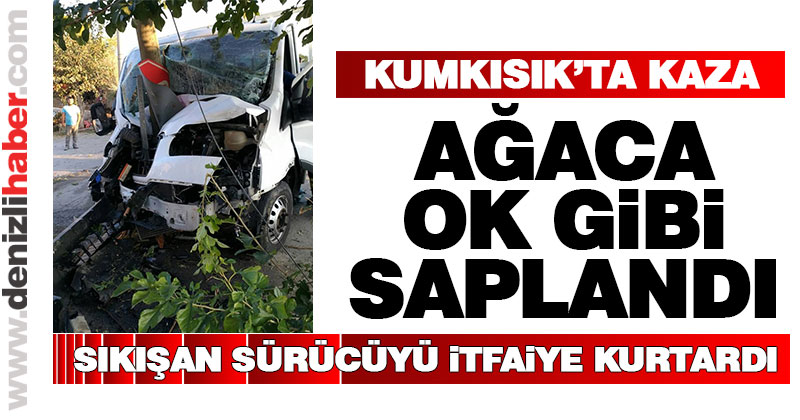 Araç ağaca ok gibi saplandı