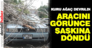 Park halindeki aracın üstüne ağaç devrildi