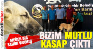 Mutlu köpeğin bir sahibi olduğu ortaya çıktı