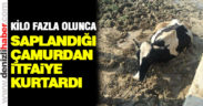 Saplandığı çamurdan itfaiye kurtardı