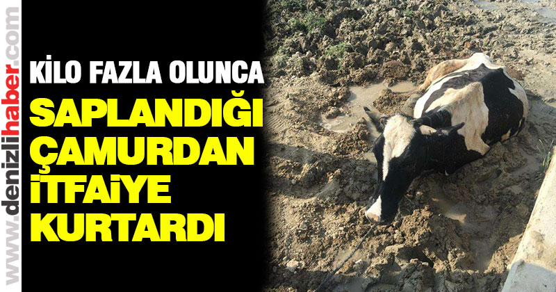 Saplandığı çamurdan itfaiye kurtardı