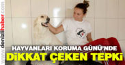 Hayvanları Koruma Günü’nde, dikkat çeken tepki
