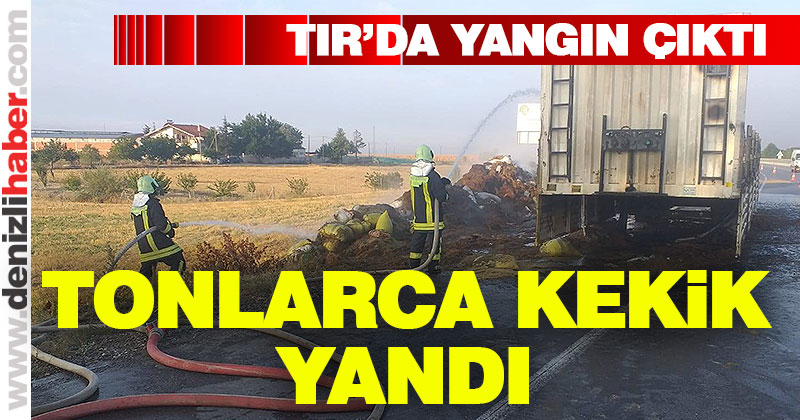 Bozkurt’ta kekik yüklü TIR yandı