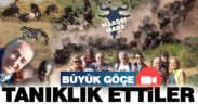 Kölgesiz çifti Masai Mara’da büyük göçe tanıklık etti