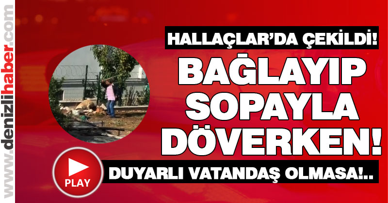 Bahçesine giren köpeği bağlayıp sopayla dövdü