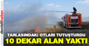 Acıpayam’da 10 dekarlık alan yandı