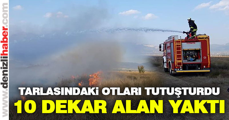 Acıpayam’da 10 dekarlık alan yandı