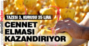 Denizli’de üretici Cennet Elması’na yöneliyor