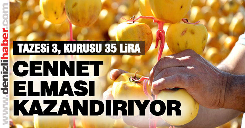 Denizli’de üretici Cennet Elması’na yöneliyor