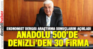 Anadolu 500 listesinde 30 Denizlili firma yerini aldı