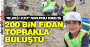 50 noktada 200 bin fidan dikimi yapıldı