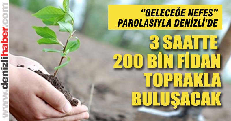 3 saatte 200 bin fidan toprakla buluşacak