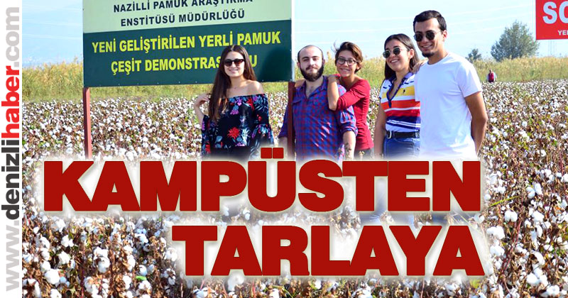 Genç gönüllüler pamuk tarlasında