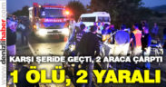 Kaklık’ta kaza: 1 ölü 2 yaralı