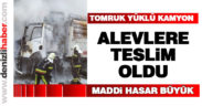 Tomruk yüklü kamyon alevlere teslim oldu