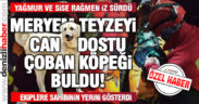 Meryem Altundağ’ı can dostu çoban köpeği buldu