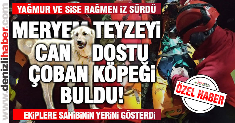 Meryem Altundağ’ı can dostu çoban köpeği buldu