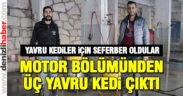 Aracın motor bölümündeki üç yavru kedi için seferber oldular