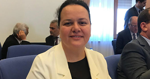 Vekil Ök, Sağlık Bakanlığı bütçesini değerlendirdi