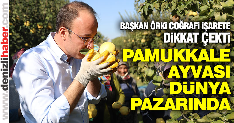 Pamukkale ayvası dünya pazarında
