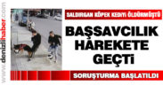 Sokak kedisini öldüren köpeğin sahibi hakkında soruşturma başlatıldı