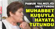 Muhabbet kuşuyla hayata tutundu