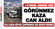 Yoldaki köpek zincirleme kazaya neden oldu: 1 ölü, 1 yaralı