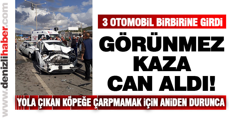 Yoldaki köpek zincirleme kazaya neden oldu: 1 ölü, 1 yaralı