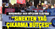 Kurşunoğlu: “Sinekten yağ çıkarma bütçesi”
