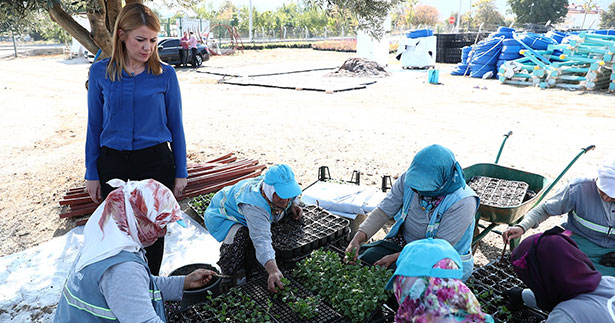 Merkezefendi Belediyesi’nin çiçekleri açtı