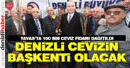 Denizli cevizin başkenti olacak
